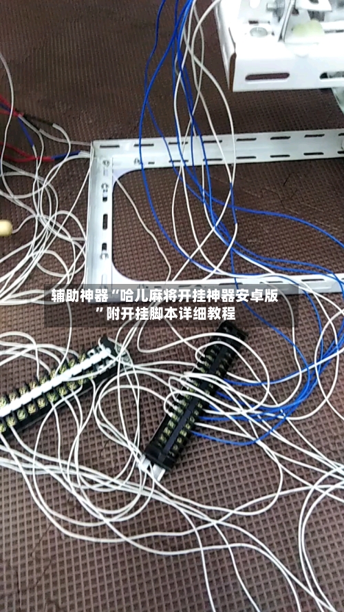 辅助神器“哈儿麻将开挂神器安卓版”附开挂脚本详细教程-第2张图片