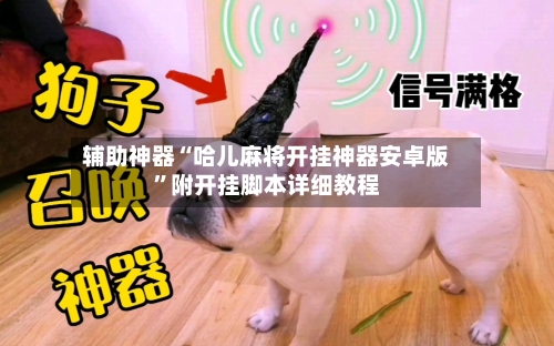 辅助神器“哈儿麻将开挂神器安卓版”附开挂脚本详细教程-第3张图片