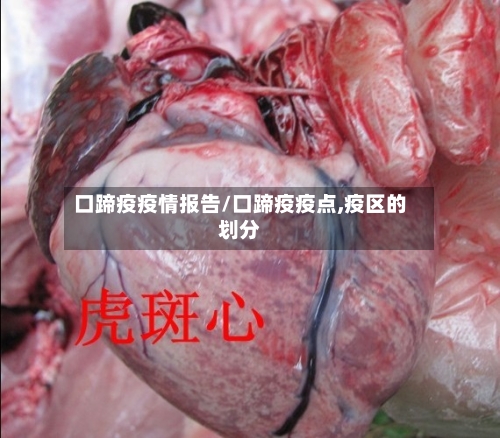 口蹄疫疫情报告/口蹄疫疫点,疫区的划分-第1张图片