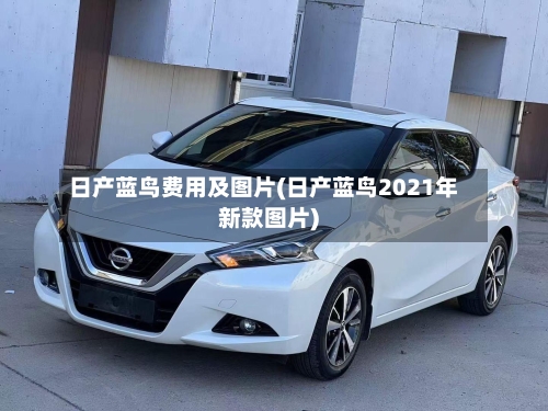 日产蓝鸟费用及图片(日产蓝鸟2021年新款图片)-第1张图片