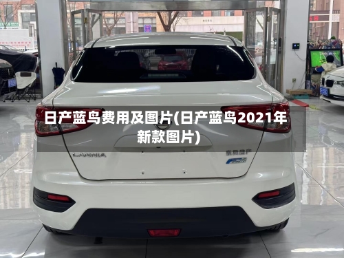 日产蓝鸟费用及图片(日产蓝鸟2021年新款图片)-第2张图片