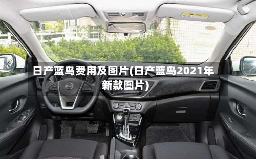 日产蓝鸟费用及图片(日产蓝鸟2021年新款图片)-第3张图片