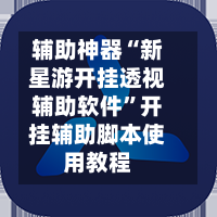 辅助神器“新星游开挂透视辅助软件”开挂辅助脚本使用教程-第3张图片