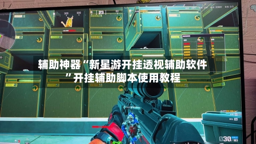 辅助神器“新星游开挂透视辅助软件”开挂辅助脚本使用教程-第2张图片