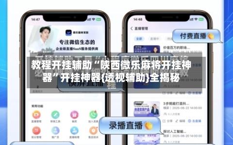 教程开挂辅助“陕西微乐麻将开挂神器”开挂神器{透视辅助}全揭秘-第3张图片