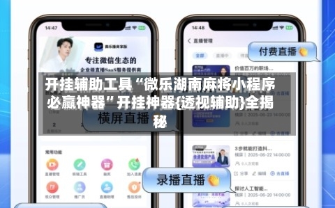 开挂辅助工具“微乐湖南麻将小程序必赢神器”开挂神器{透视辅助}全揭秘-第1张图片