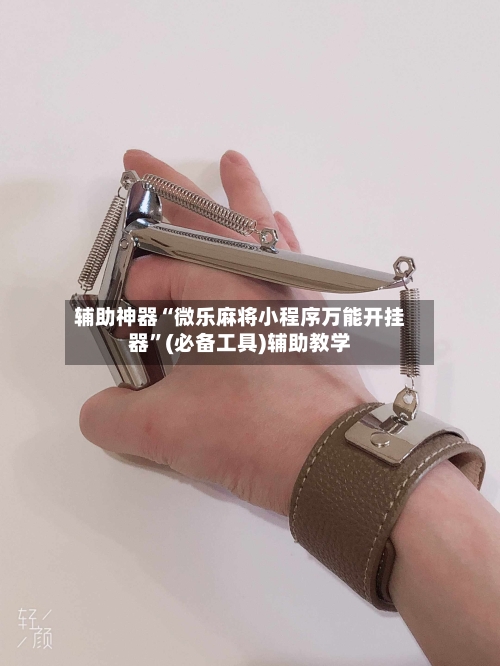 辅助神器“微乐麻将小程序万能开挂器”(必备工具)辅助教学-第3张图片