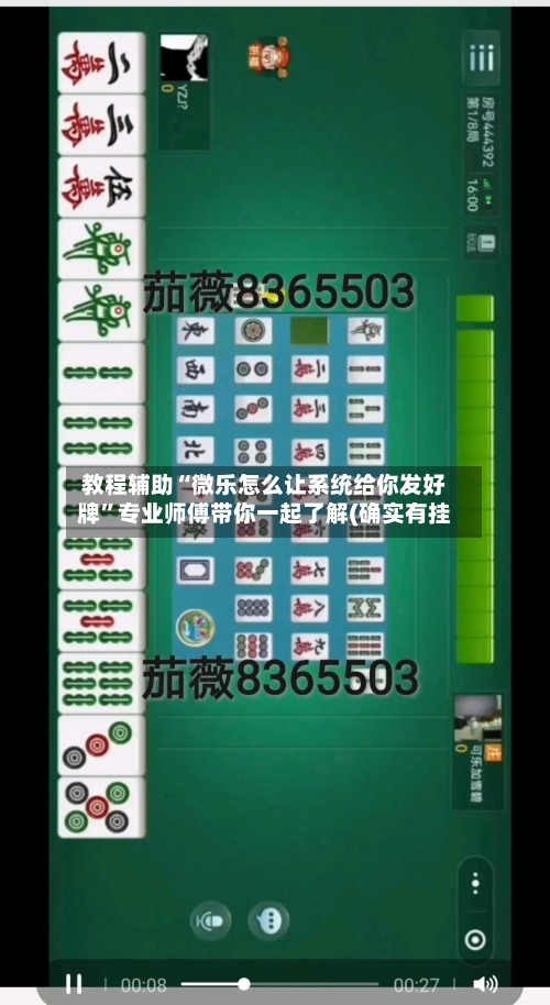 教程辅助“微乐怎么让系统给你发好牌”专业师傅带你一起了解(确实有挂-第1张图片