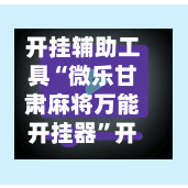 开挂辅助工具“微乐甘肃麻将万能开挂器”开挂辅助脚本+详细开挂安装教程-第2张图片