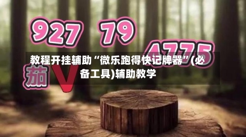 教程开挂辅助“微乐跑得快记牌器”(必备工具)辅助教学-第1张图片