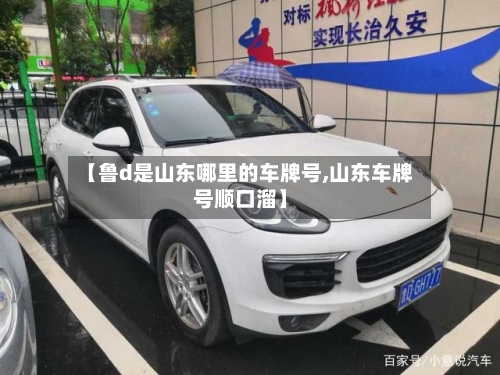 【鲁d是山东哪里的车牌号,山东车牌号顺口溜】-第1张图片