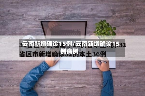 云南新增确诊15例/云南新增确诊15例病例-第2张图片