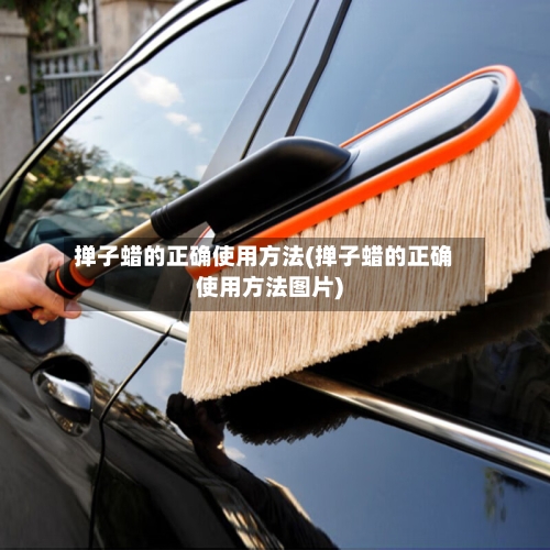 掸子蜡的正确使用方法(掸子蜡的正确使用方法图片)-第2张图片