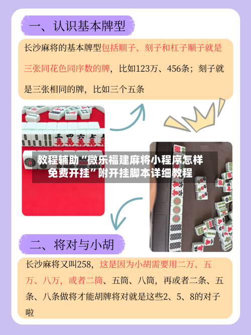 教程辅助“微乐福建麻将小程序怎样免费开挂	”附开挂脚本详细教程-第2张图片