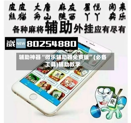 辅助神器“微乐辅助器免费版”(必备工具)辅助教学-第3张图片