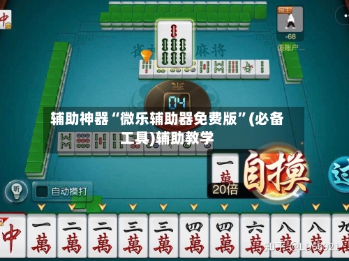 辅助神器“微乐辅助器免费版	”(必备工具)辅助教学-第2张图片