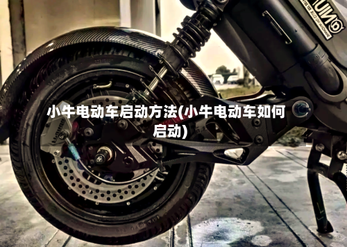 小牛电动车启动方法(小牛电动车如何启动)-第1张图片