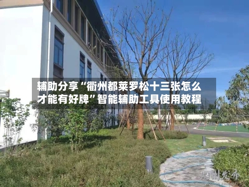 辅助分享“衢州都莱罗松十三张怎么才能有好牌”智能辅助工具使用教程-第3张图片