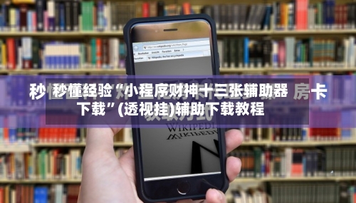 秒懂经验“小程序财神十三张辅助器下载”(透视挂)辅助下载教程-第3张图片