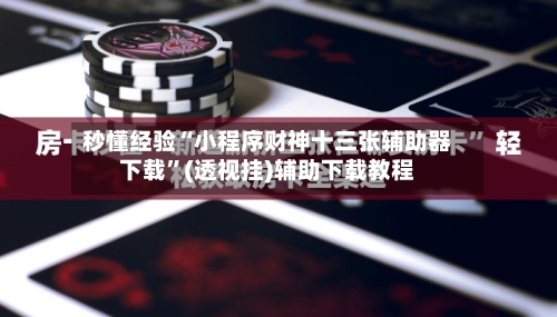 秒懂经验“小程序财神十三张辅助器下载”(透视挂)辅助下载教程-第2张图片