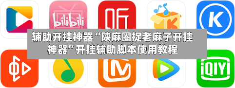 辅助开挂神器“陕麻圈捉老麻子开挂神器”开挂辅助脚本使用教程-第3张图片