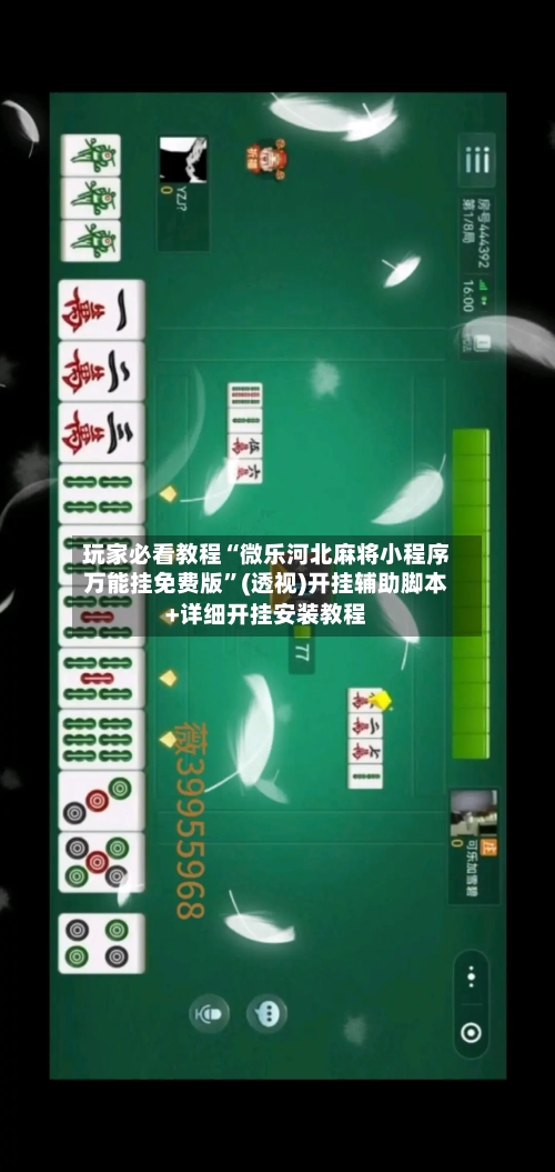 玩家必看教程“微乐河北麻将小程序万能挂免费版”(透视)开挂辅助脚本+详细开挂安装教程-第2张图片