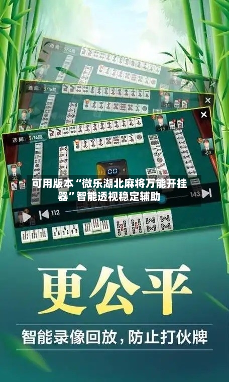 可用版本“微乐湖北麻将万能开挂器”智能透视稳定辅助-第3张图片