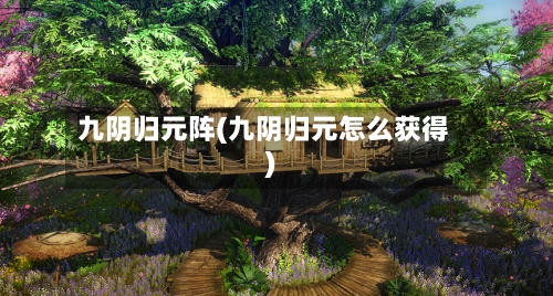 九阴归元阵(九阴归元怎么获得)-第2张图片
