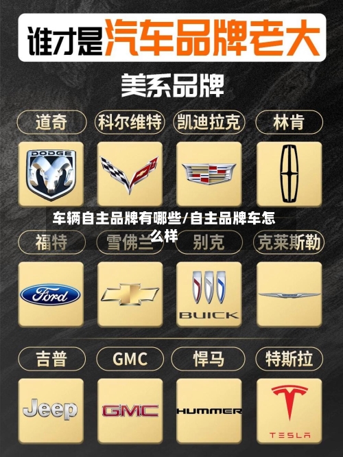 车辆自主品牌有哪些/自主品牌车怎么样-第3张图片