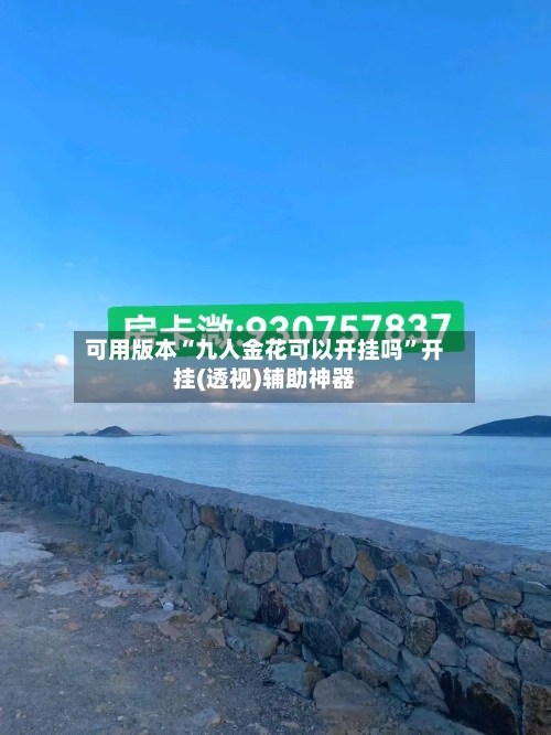 可用版本“九人金花可以开挂吗”开挂(透视)辅助神器-第3张图片