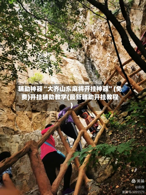 辅助神器“大齐山东麻将开挂神器	”(免费)开挂辅助教学(最新辅助开挂教程)-第2张图片