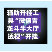 辅助开挂工具“微信青龙斗牛大厅透视”开挂神器{透视辅助}全揭秘-第2张图片