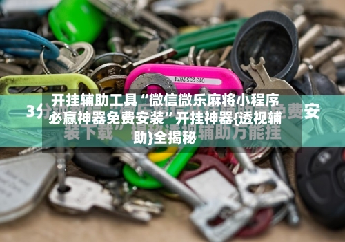 开挂辅助工具“微信微乐麻将小程序必赢神器免费安装	”开挂神器{透视辅助}全揭秘-第2张图片