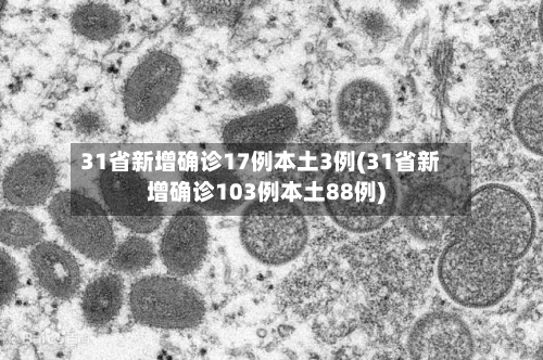 31省新增确诊17例本土3例(31省新增确诊103例本土88例)-第2张图片