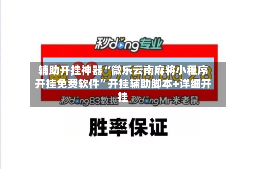 辅助开挂神器“微乐云南麻将小程序开挂免费软件”开挂辅助脚本+详细开挂-第2张图片