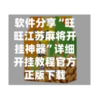 软件分享“旺旺江苏麻将开挂神器	”详细开挂教程官方正版下载-第2张图片