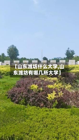 【山东潍坊什么大学,山东潍坊有哪几所大学】-第2张图片