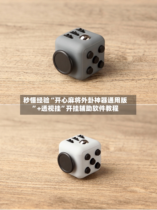 秒懂经验“开心麻将外卦神器通用版	”+透视挂”开挂辅助软件教程-第2张图片