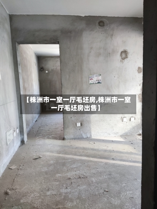 【株洲市一室一厅毛坯房,株洲市一室一厅毛坯房出售】-第2张图片