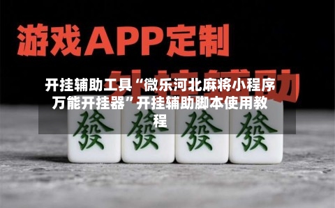 开挂辅助工具“微乐河北麻将小程序万能开挂器”开挂辅助脚本使用教程-第3张图片