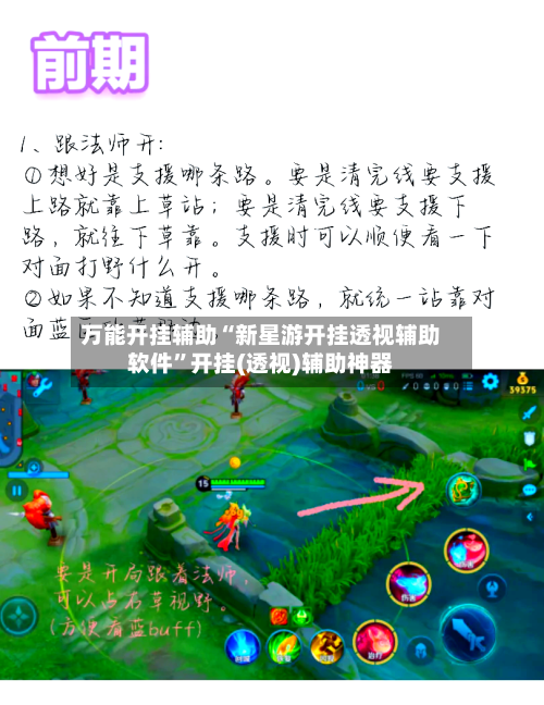 万能开挂辅助“新星游开挂透视辅助软件”开挂(透视)辅助神器-第2张图片