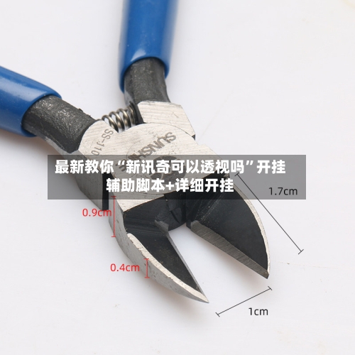 最新教你“新讯奇可以透视吗	”开挂辅助脚本+详细开挂-第2张图片