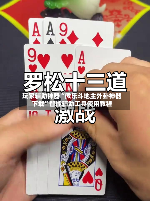 玩家辅助神器“微乐斗地主外卦神器下载”智能辅助工具使用教程-第3张图片