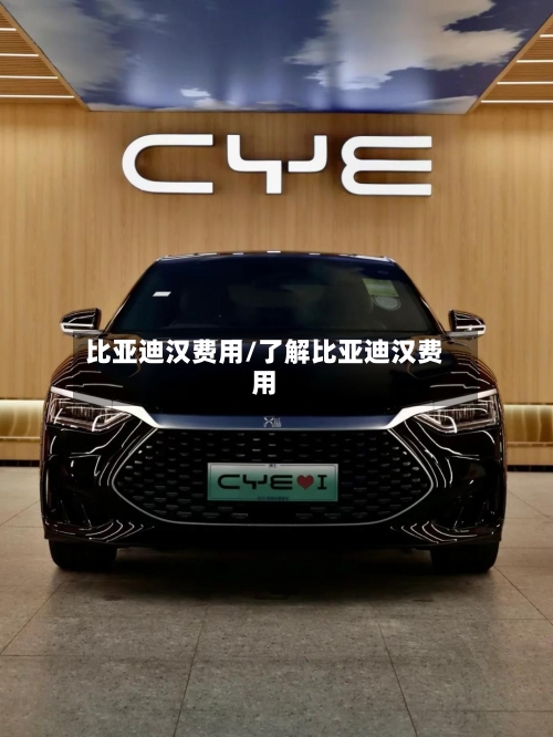 比亚迪汉费用/了解比亚迪汉费用-第3张图片