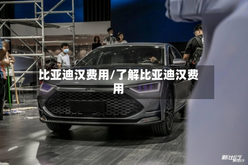 比亚迪汉费用/了解比亚迪汉费用-第2张图片