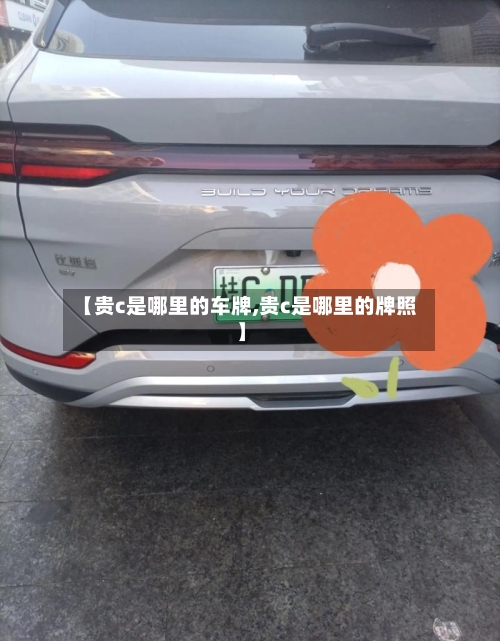 【贵c是哪里的车牌,贵c是哪里的牌照】-第2张图片