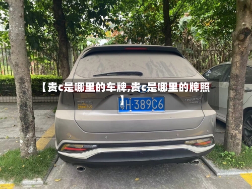 【贵c是哪里的车牌,贵c是哪里的牌照】-第3张图片