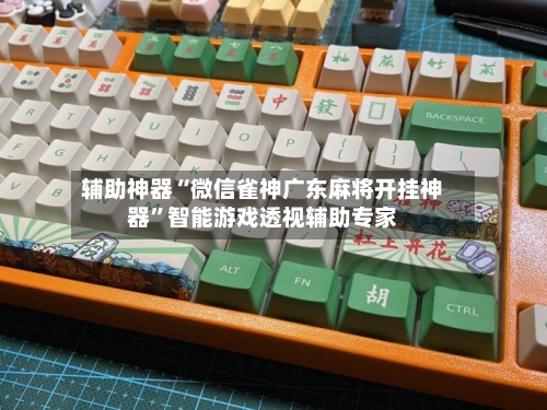 辅助神器“微信雀神广东麻将开挂神器”智能游戏透视辅助专家-第2张图片