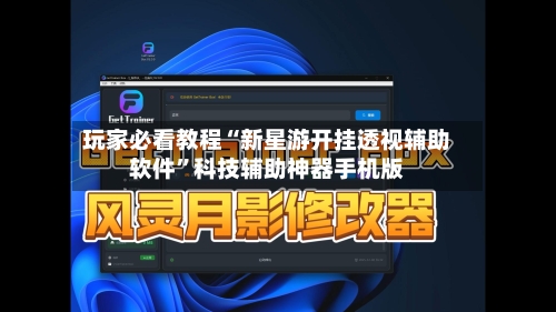 玩家必看教程“新星游开挂透视辅助软件”科技辅助神器手机版-第3张图片