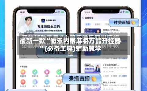 最新一款“微乐内蒙麻将万能开挂器”(必备工具)辅助教学-第3张图片